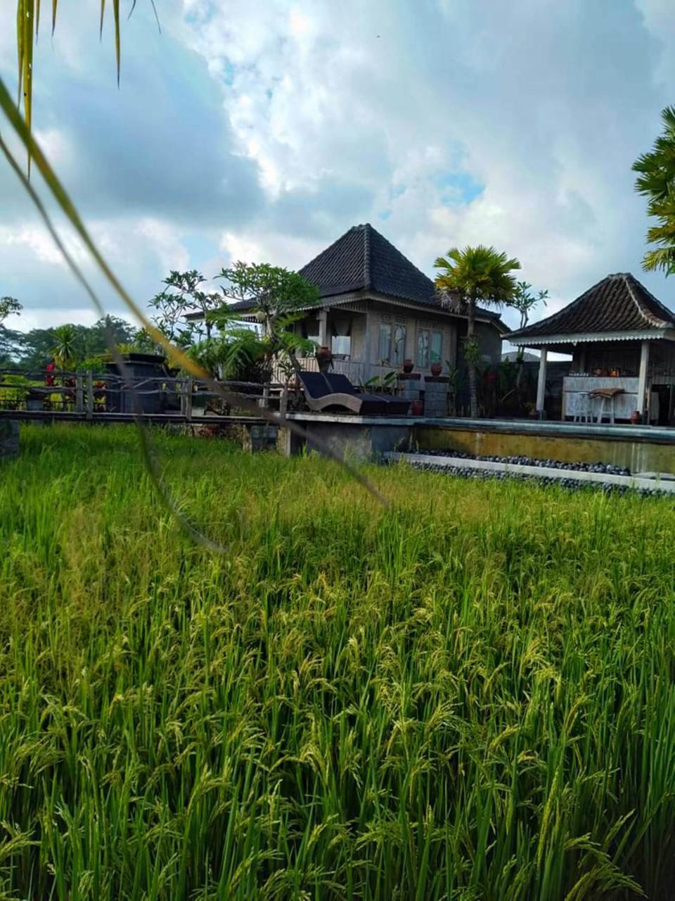 Uma Caming Villas & Gym Tegallalang  Exterior foto